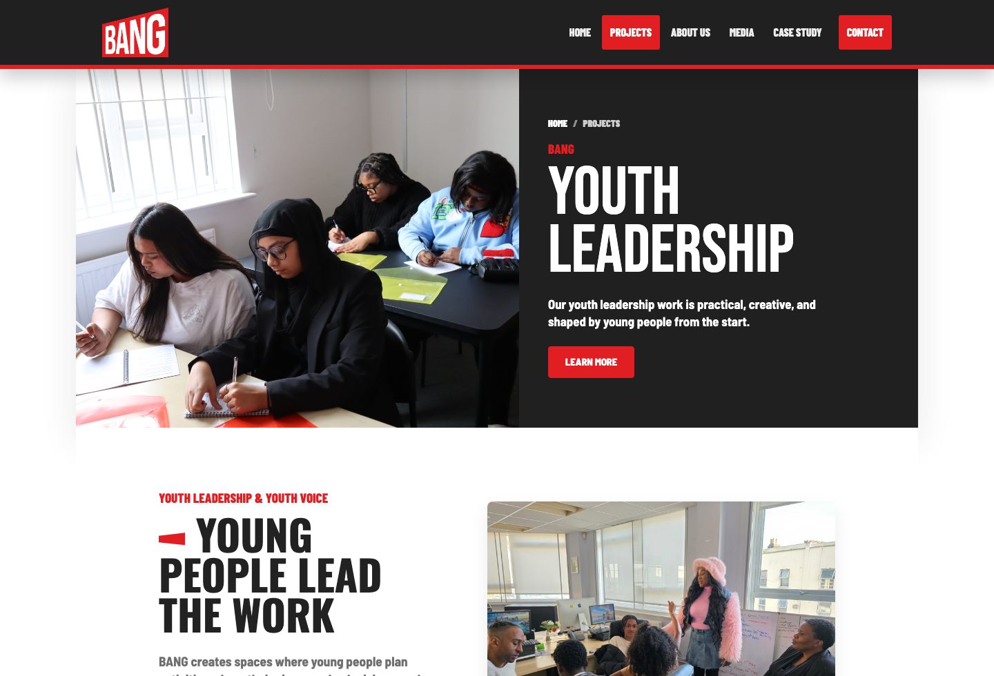 Desktop screenshot of the BANG projects page
